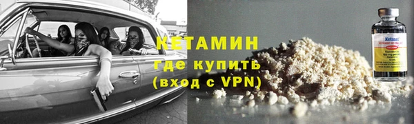 стаф Касимов