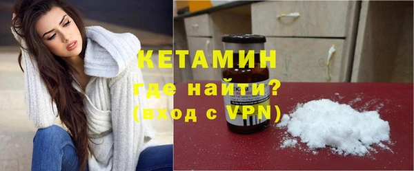 стаф Касимов
