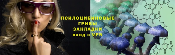 mdpv Карпинск