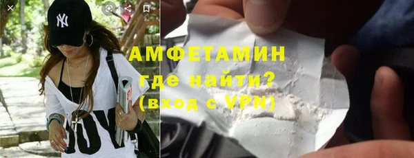 стаф Касимов