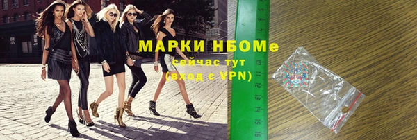 стаф Касимов