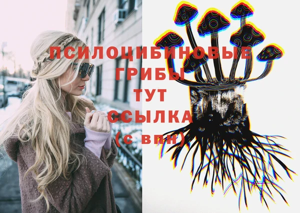 mdpv Карпинск