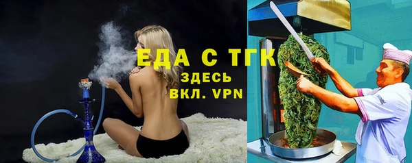 стаф Касимов