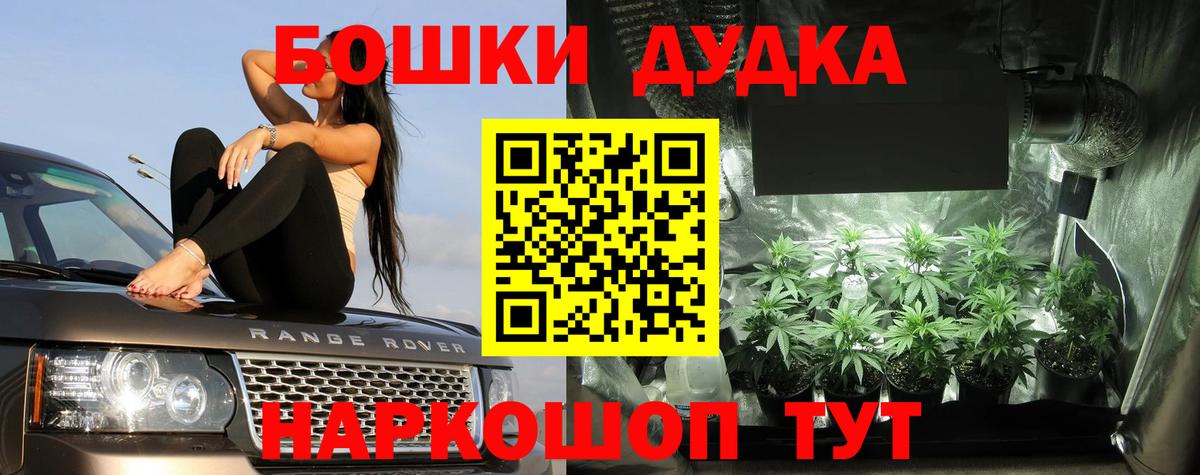 Бошки Шишки конопля Альметьевск
